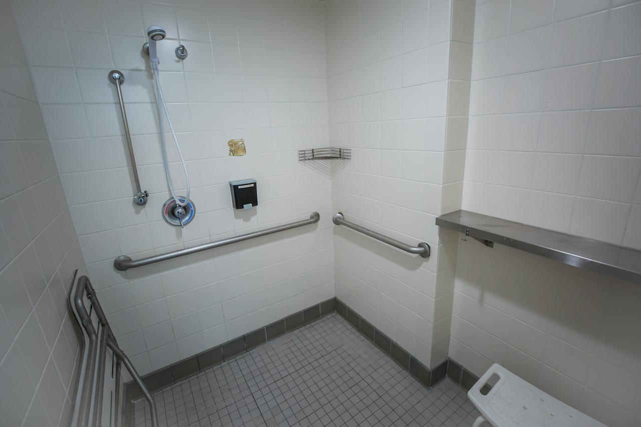 Single Bed 4-Bed Female Dorm Shared Bath